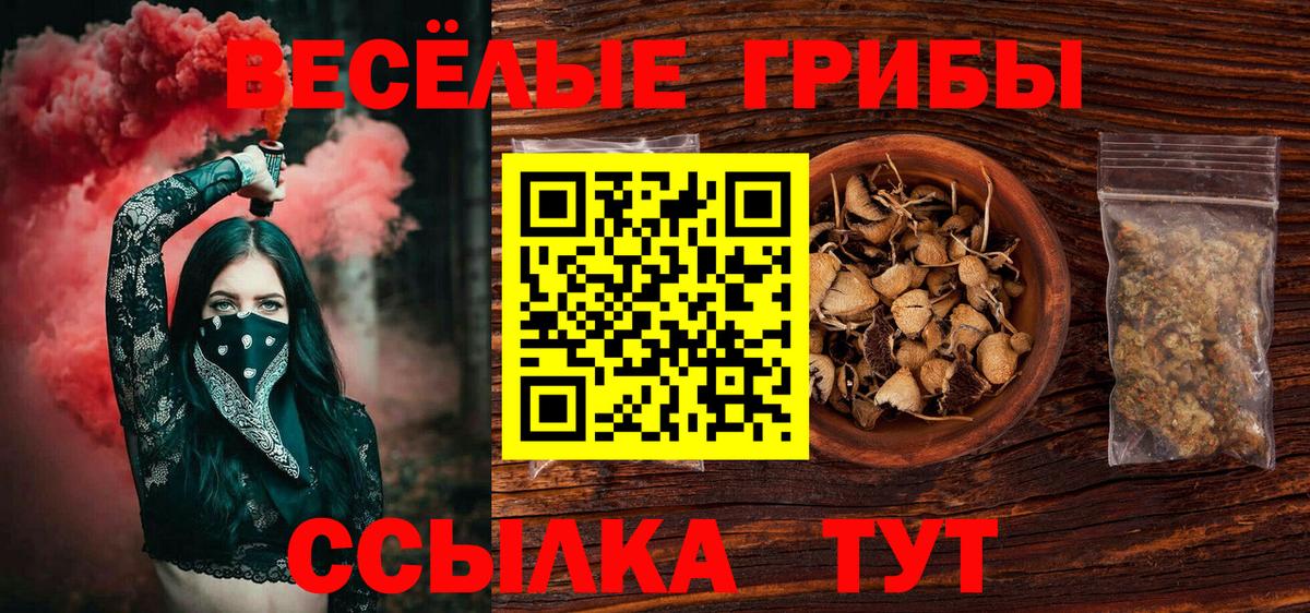 Омск  Псилоцибиновые грибы мухоморы  Вход с VPN 