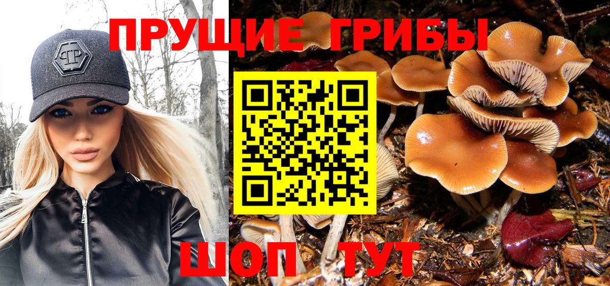 Галлюциногенные грибы Cubensis Омск